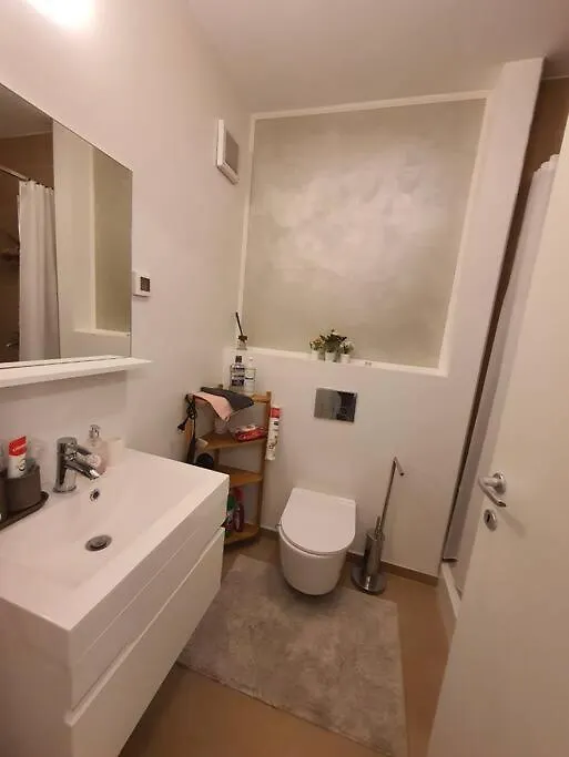 Sector 1 Garden Boutique Apartment بوخارست